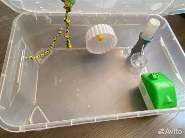 Контейнер для хомяка