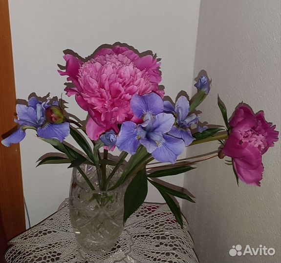 Голубой Ирис и другие цветы