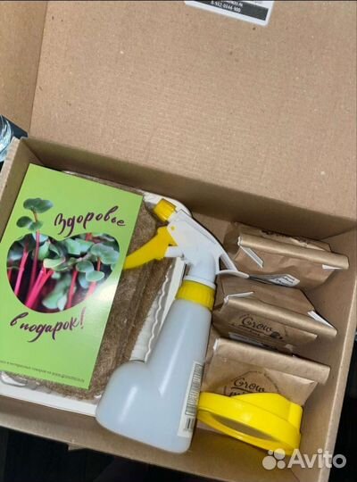 Набор для выращивания микрозелени