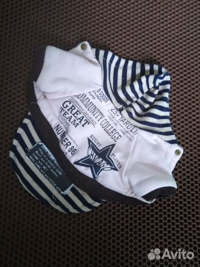 Товары для собак