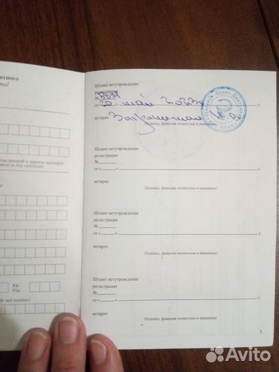 Собаки щенки