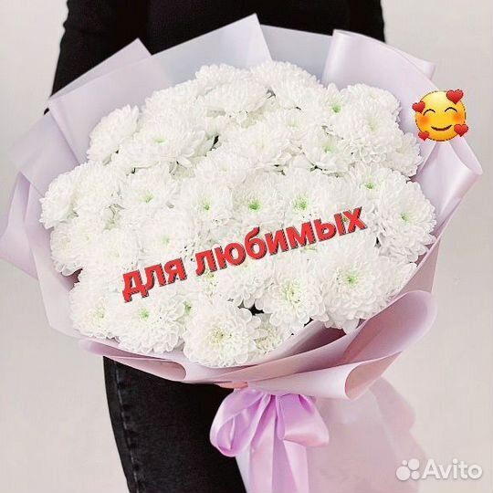 Цветы Хризантемы