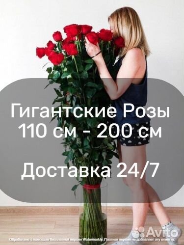 Большие розы букет цветов до 190 см