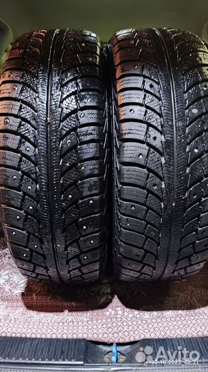 Gislaved Nord Frost 5 185/65 R14