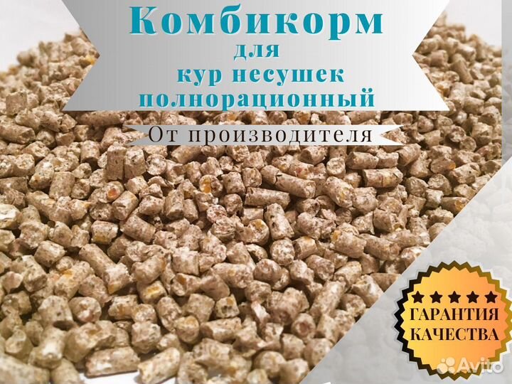 Комбикорм для кур несушек полнорационный