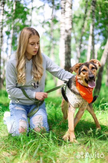 Небольшая девочка ждет свою семью