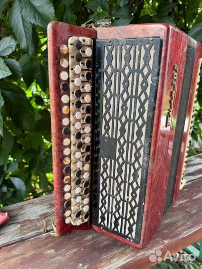 Баян Тула 202