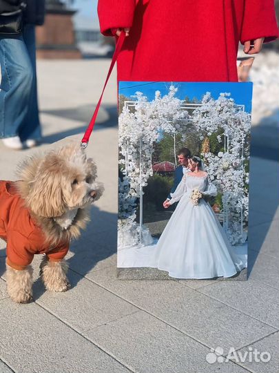 Печать фото на холсте / Картина на холсте