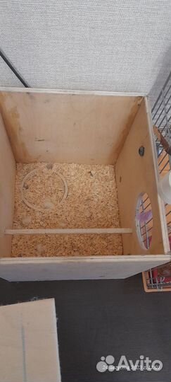 Попугай корелла с клеткой