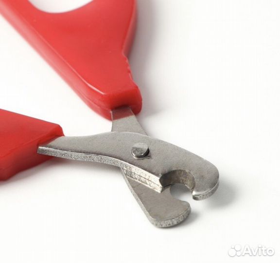 Когтерезка для кошек и собак мелких пород