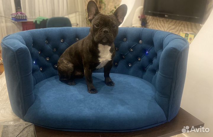 Лежанка диван для собак