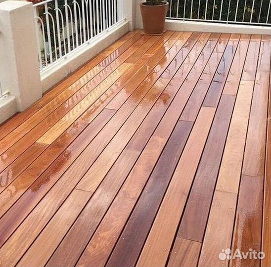 Планкен гарапа PLM-8974