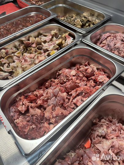 Корм для собак