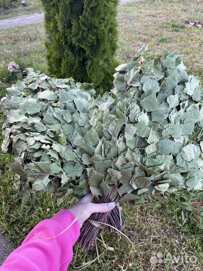 Банные веники