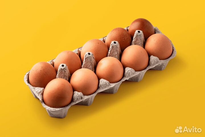 Разнорабочие на птицефабрику