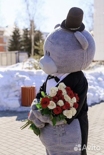 Крутые поздравления от Мишки Тедди