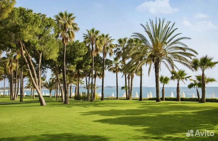 Тур в г. Сиде от 5 дн