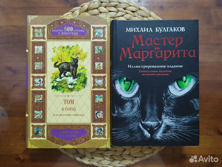 Мастер и Маргарита,Том в горах