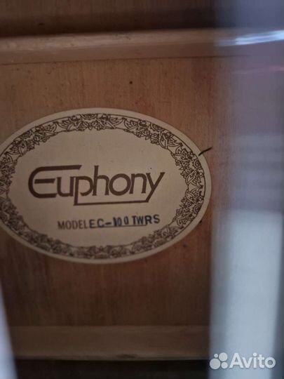 Гитара Euphony EC-100twrs