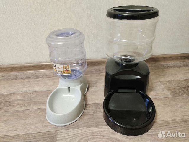 Домашние животные