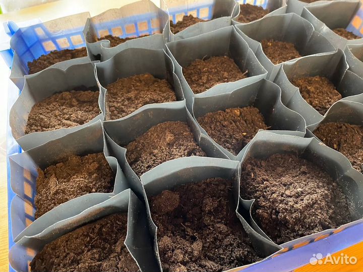 Пакеты для рассады 0,6 литра