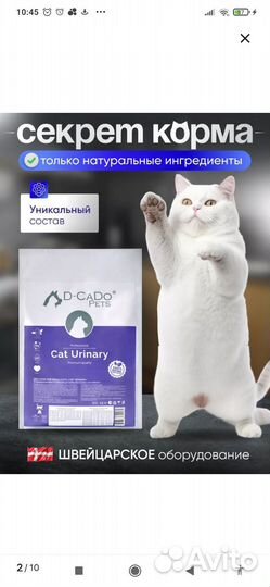 Корм для кастрированных котов Cat Urinary