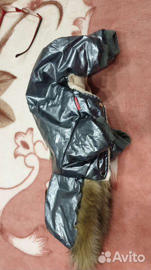 Комбинезон для маленькой собаки