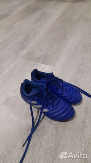 Футбольные бутсы adidas copa