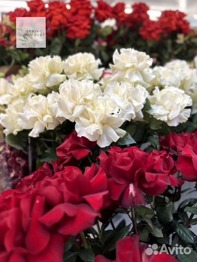 Розы с доставкой