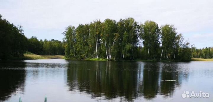 Сдаётся в аренду лодки Пелла и Тримаран в Беличье