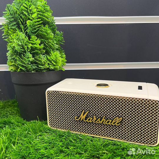 Портативная колонка Marshall emberton