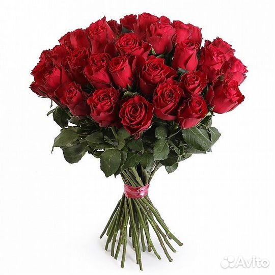 Букет из 51 розы Мадам Рэд 50 см Премиум