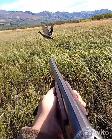 Охота и рыбалка отдых