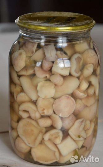 Грибы соленые