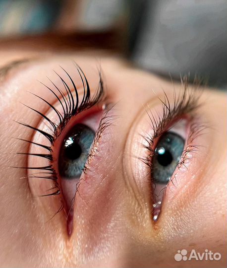 Обучение бровист / ламинирование ресниц