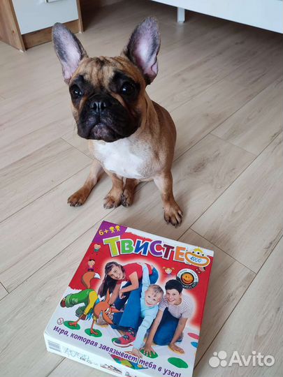 Твистер детский игра