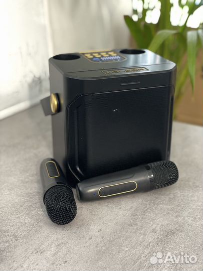 Колонка беспроводная караоке и двумя микрофонами
