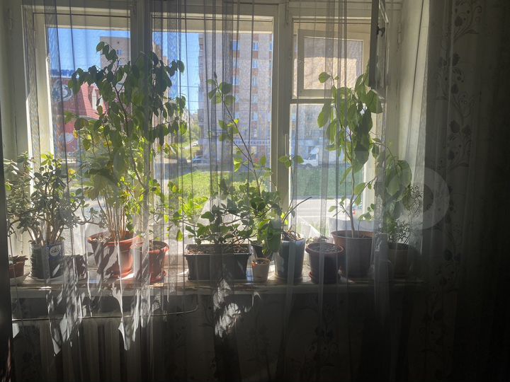 2-к. квартира, 47,7 м², 2/5 эт.