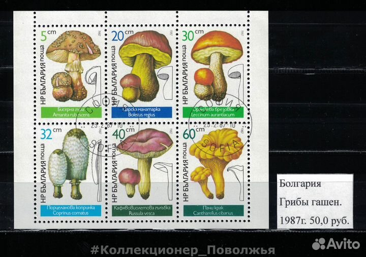 Почтовые Марки Стран Мира Флора и Фауна Животные