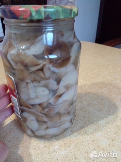 Грибы опята