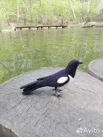 Войлочная сорока