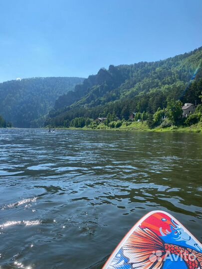 Аренда sap / Прокат сапов / сап борд