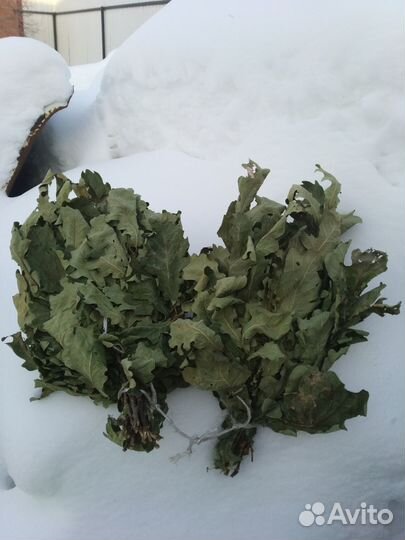 Веники Березовые и дубовые