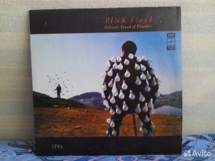 Pink Floyd - Delicate Sound Of Thunder (2 LP)