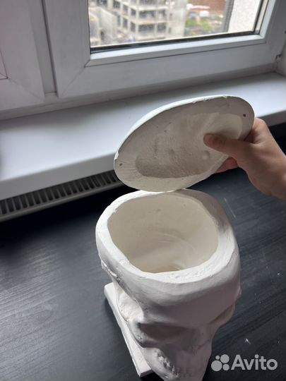 Череп из гипса