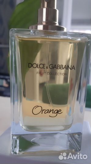 Dolce & Gabbana Fruit Collection Orange