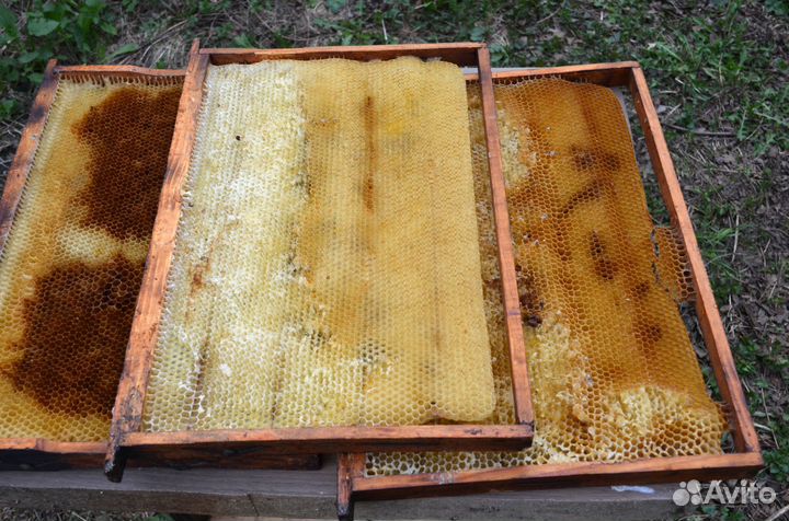 Сушь для пчел. Дадан