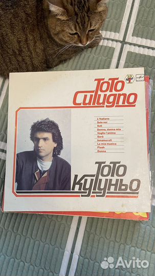 Виниловые пластинки