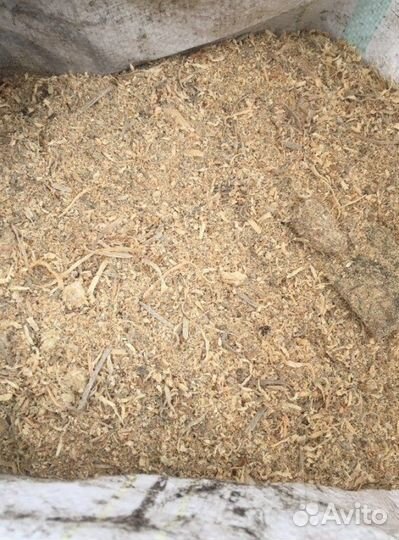 Отдам бесплатно опилки