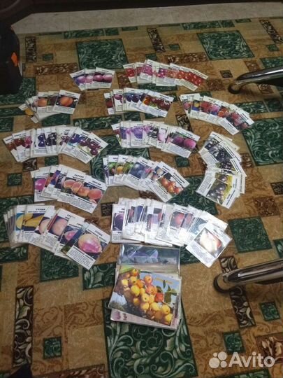 Фотографии, реклама на саженцы